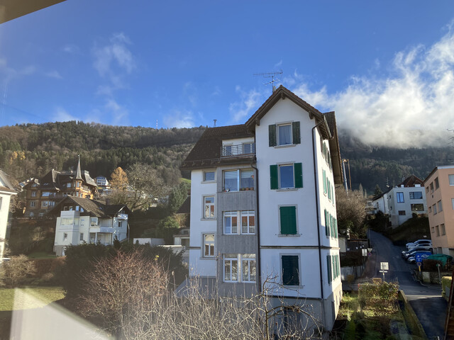 Sonnige, zentral gelegene Dachgeschosswohnung am Fuß des Pfänderhangs, hervorragend angebunden