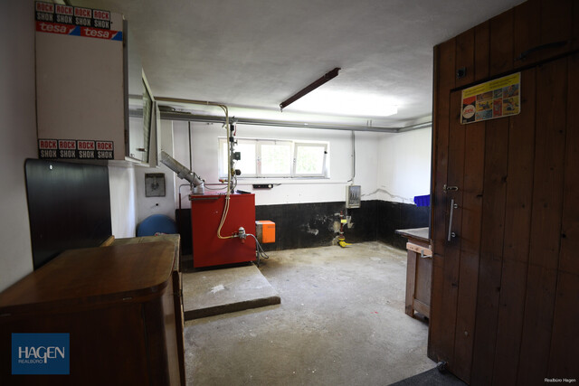 Einfamilienhaus in Lustenau - Naturidyll am Alten Rhein!