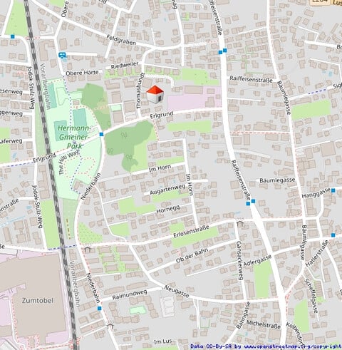 EINFAMILIENHAUS MIT VIEL GRÜNUMSCHWUNG