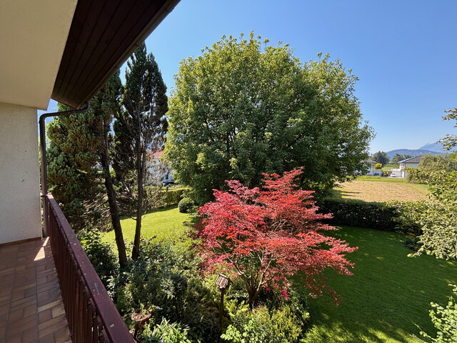 Sonniges Baugrundstück mit Altbestand