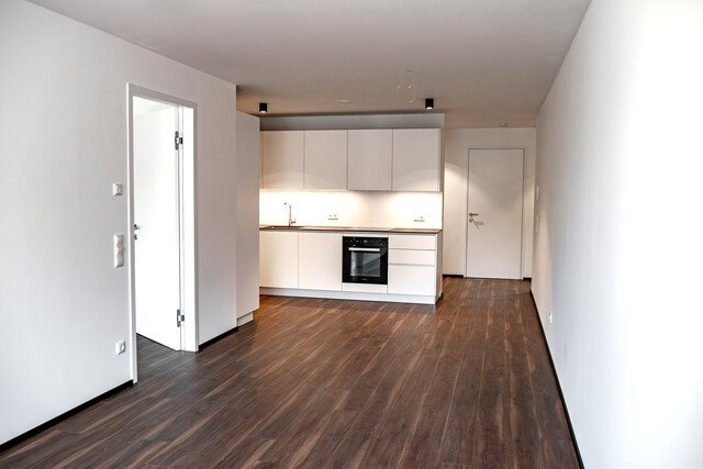 Neue 3-Zimmer-Wohnung mit Loggia und Kühlung im Zentrum von Dornbirn