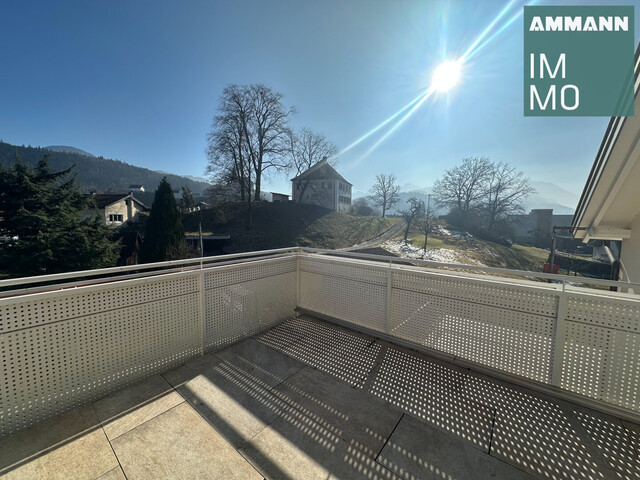 Zuhause im Zentrum: Großzügige Dachgeschosswohnung mit Dachterrasse zu vermieten