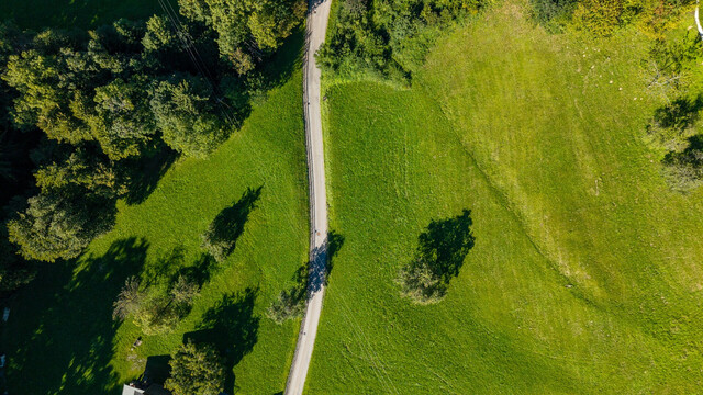 Traumhaftes Grundstück im Grünen in Zwischenwasser mit ca. 550m² Grundstücksfläche!