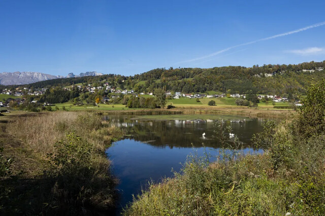 3-Zimmer Wohnung in Toplage - Feldkirch-Tisis, 110 m² Garten &amp; 3 Parkplätze, ideal für Grenzgänger