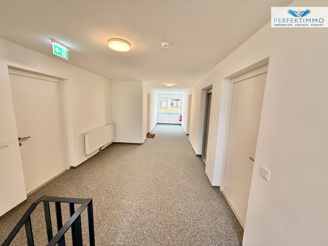 2 Zimmer Wohnung in Hohenweiler - Neubau!