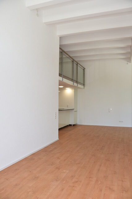 Erstbezug: Tolles Loft mit Blick zur Ill