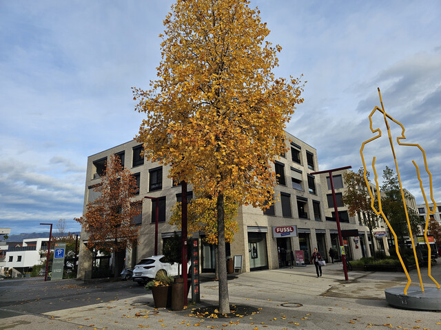 Moderne 4-Zimmer-Wohnung am Garnmarkt in Götzis