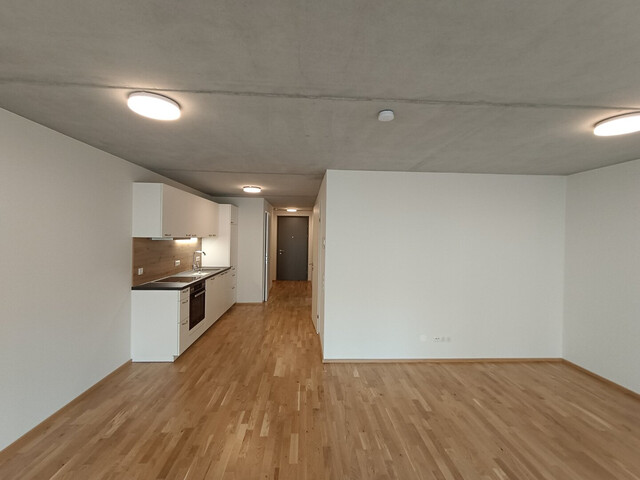 Komfortable Gartenwohnung | Top 1