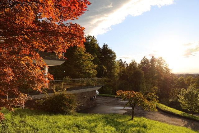 Wohnen mit Seesicht in Bregenz - ruhige Lage - Top 3 Einliegerwohnung - ab sofort