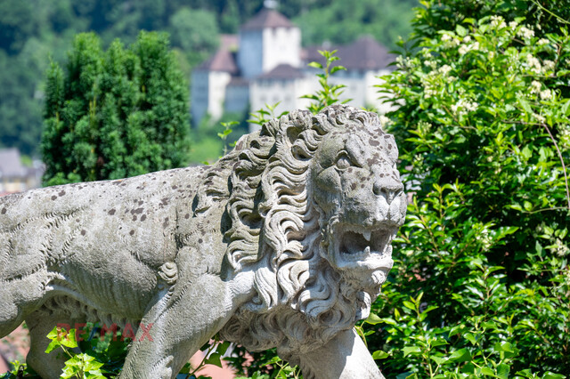 Große Villa thronend über Feldkirch mit Baulandreserve