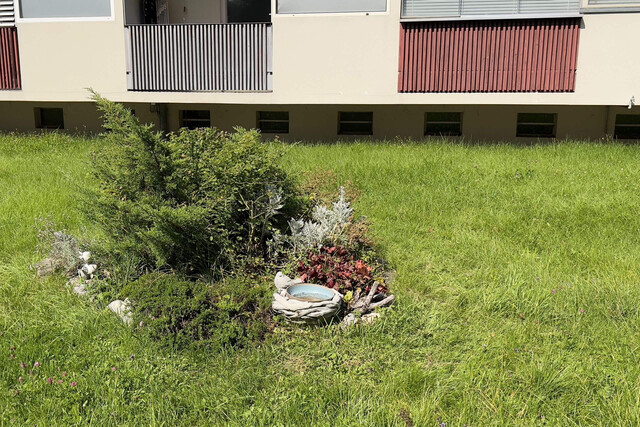 3 Zimmer Wohnung mit Potenzial in Feldkirch