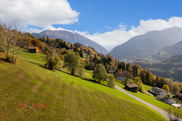 Mehrfamilienhaus mit Landwirtschaft in Bartholomäberg