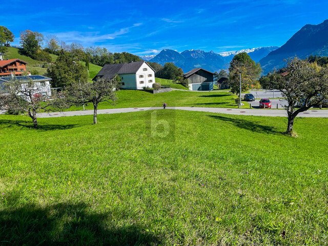 UNVERBAUBARER PANORMABLICK IM BERGDORF GURTIS