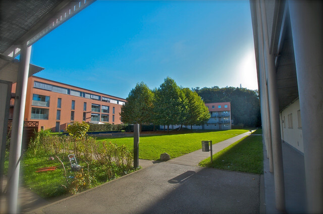 Dachgeschoss | 3 Zimmerwohnung | Bregenz Vorkloster