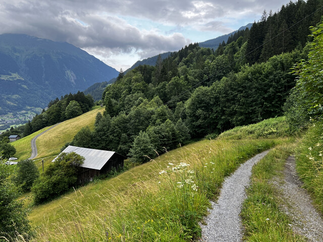 Tschagguns | Waldflächen | Landwirtschaftliche Flächen | Kauf