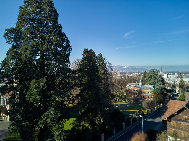 Großzügige 3-Zimmer-Wohnung  im Dornbirner Oberdorf