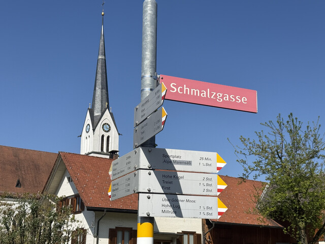 Baugrund mit Panorama in Fraxern