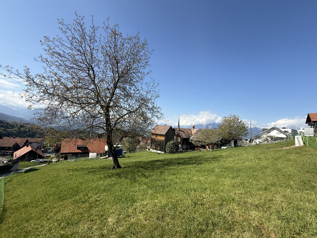 Baugrund mit Panorama in Fraxern