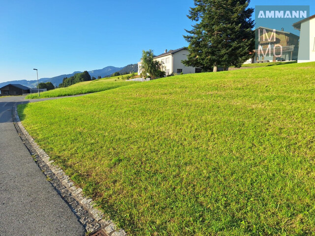 Grundstück mit Blick vom Säntis bis zum Bodensee in Übersaxen
