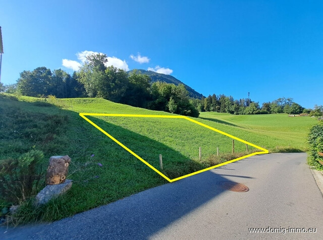 Baugrundstück ca. 344m² mit Bergpanorama in Feldkirch/Frastanz (Letze)!