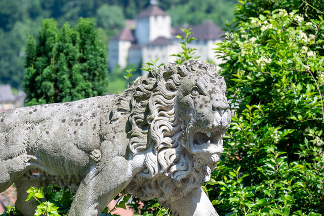 Große Villa thronend über Feldkirch mit Baulandreserve