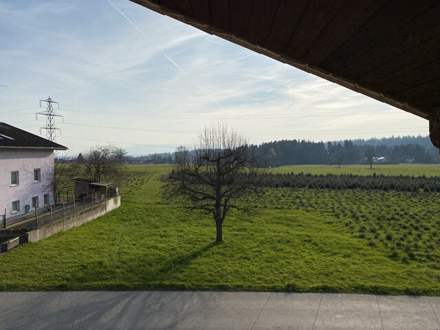 Gepflegtes Einfamilienhaus in ruhiger Lage