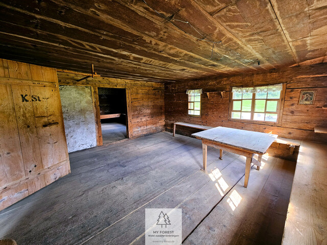 Naturjuwel in den Allgäuer Alpen – anerkannte Alpe mit Wald- und Weideflächen auf 198 Hektar