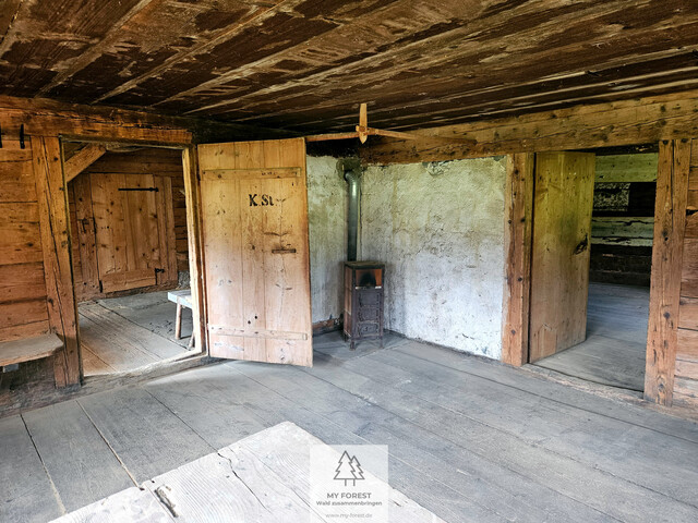 Naturjuwel in den Allgäuer Alpen – anerkannte Alpe mit Wald- und Weideflächen auf 198 Hektar