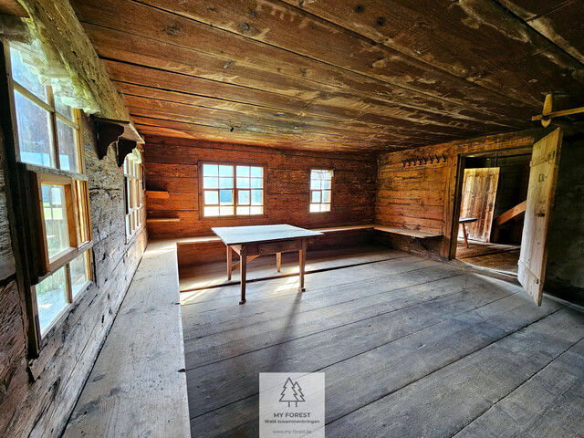 Naturjuwel in den Allgäuer Alpen – anerkannte Alpe mit Wald- und Weideflächen auf 198 Hektar
