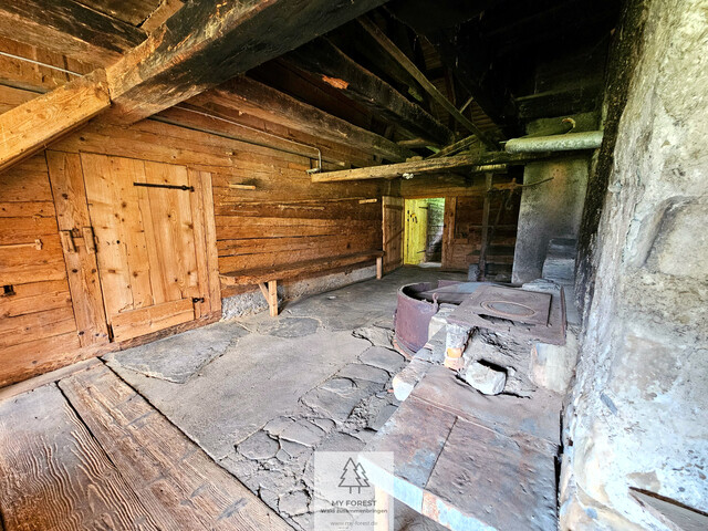Naturjuwel in den Allgäuer Alpen – anerkannte Alpe mit Wald- und Weideflächen auf 198 Hektar