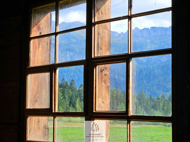 Naturjuwel in den Allgäuer Alpen – anerkannte Alpe mit Wald- und Weideflächen auf 198 Hektar