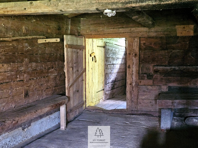 Naturjuwel in den Allgäuer Alpen – anerkannte Alpe mit Wald- und Weideflächen auf 198 Hektar
