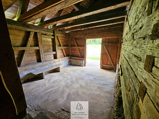 Naturjuwel in den Allgäuer Alpen – anerkannte Alpe mit Wald- und Weideflächen auf 198 Hektar