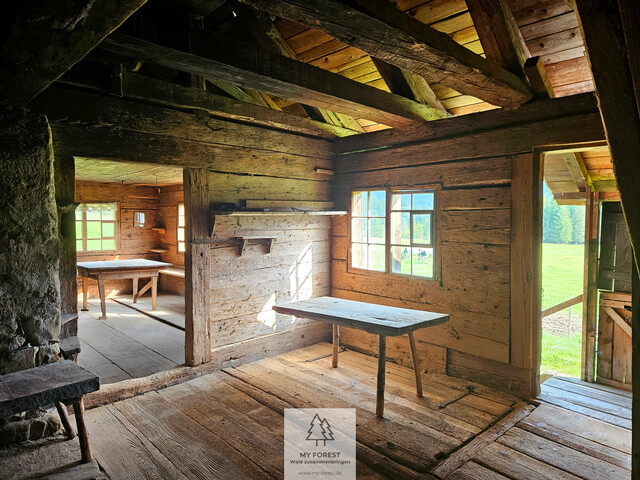 Naturjuwel in den Allgäuer Alpen – anerkannte Alpe mit Wald- und Weideflächen auf 198 Hektar