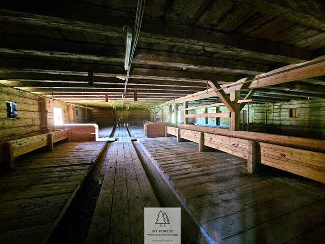 Naturjuwel in den Allgäuer Alpen – anerkannte Alpe mit Wald- und Weideflächen auf 198 Hektar