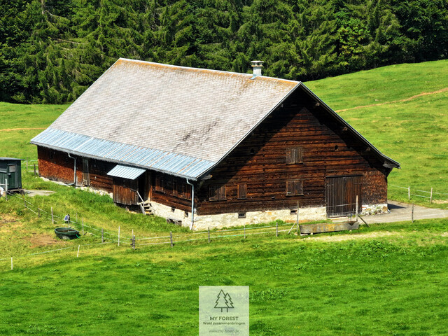 Naturjuwel in den Allgäuer Alpen – anerkannte Alpe mit Wald- und Weideflächen auf 198 Hektar