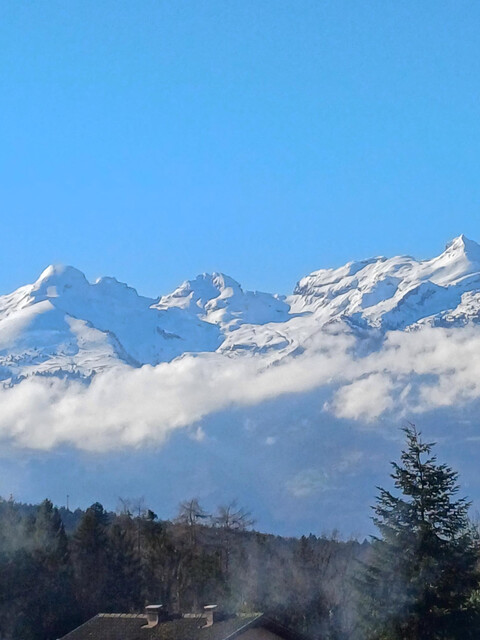 wunderschöne Panorama-Dachgeschosswohnung