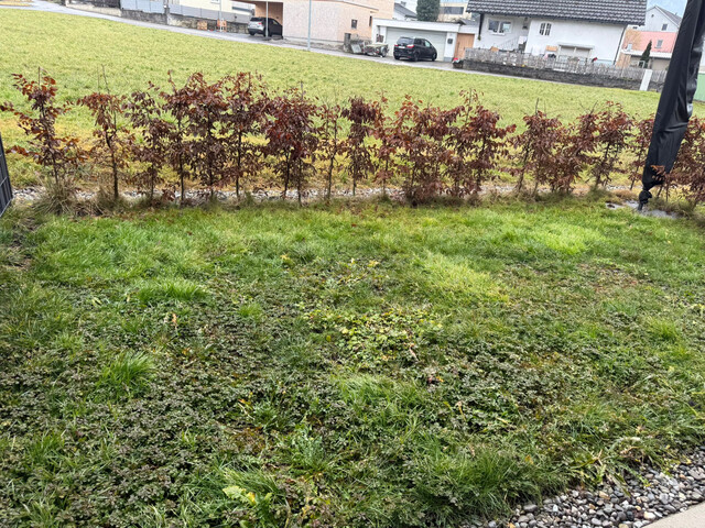 Moderne 2-Zimmer-Wohnung mit Garten - Tiefgaragenplatz mit Wallbox
