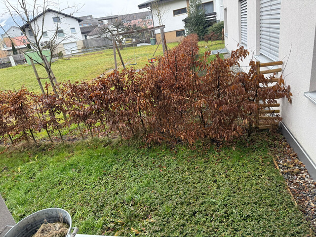 Moderne 2-Zimmer-Wohnung mit Garten - Tiefgaragenplatz mit Wallbox