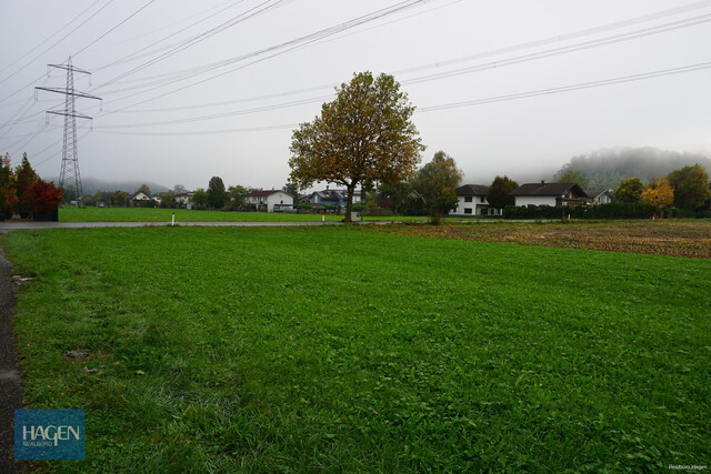 Schönes Baugrundstück in Koblach zu verkaufen