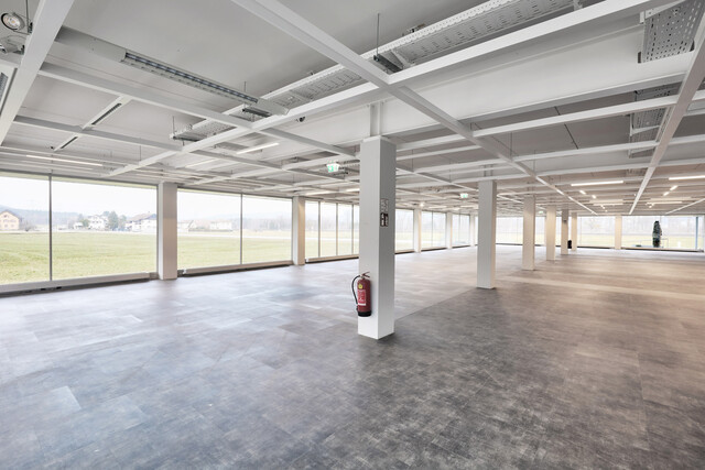 Handel, Büro, Freizeit,... flexible Flächen, individuell gestaltbar von 25-550m²