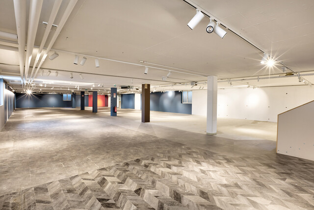 Handel, Büro, Freizeit,... flexible Flächen, individuell gestaltbar von 25-550m²