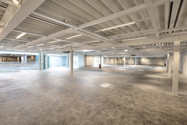 Handel, Büro, Freizeit,... flexible Flächen, individuell gestaltbar von 25-550m²