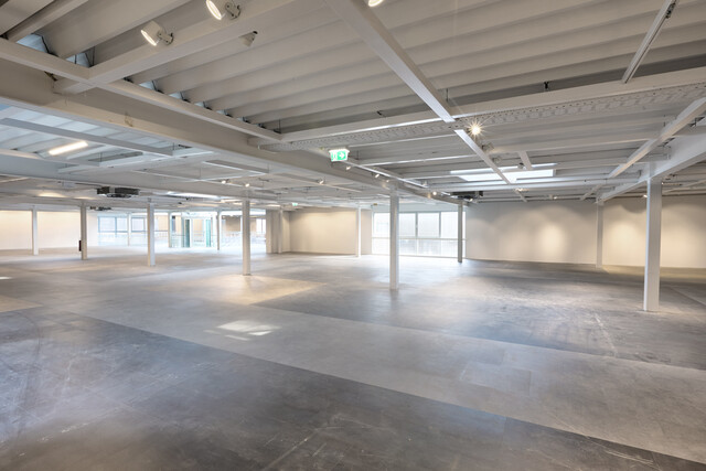 Handel, Büro, Freizeit,... flexible Flächen, individuell gestaltbar von 25-550m²