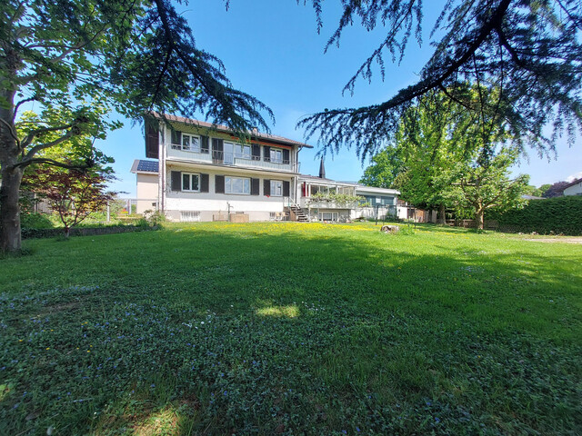 Erstbezug nach Sanierung, Haus in Lustenau Rheindorf