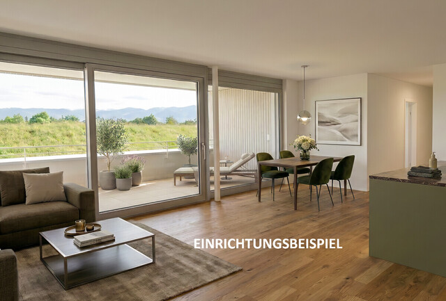 Neubau-Wohnung am Bodensee: 3 Zimmer, moderne Ausstattung, Natur & Infrastruktur