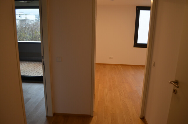 Schöne 2 Zimmerwohnung in Seenähe zu vermieten (verfügbar ab 1. Februar 2026)