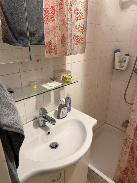 sonniges 1-Zimmer Appartement in bester Lage