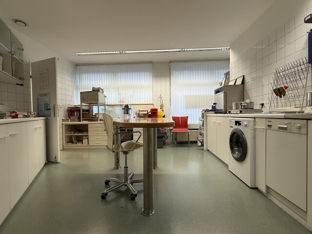 Lukrative Investition - vermietete Gewerbefläche in Bestlage in  Sulz