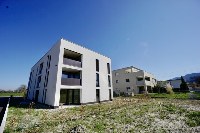 Sonnige 3 Zimmer Gartenwohnung in Lauterach zur Miete